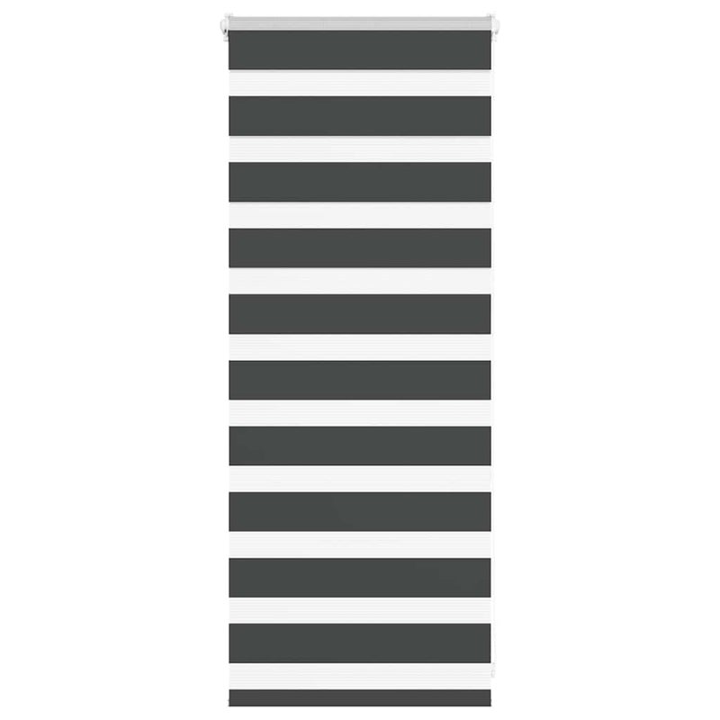 Roleta zebra, czarna, szerokość tkaniny 55,9 cm, poliester vidaXL