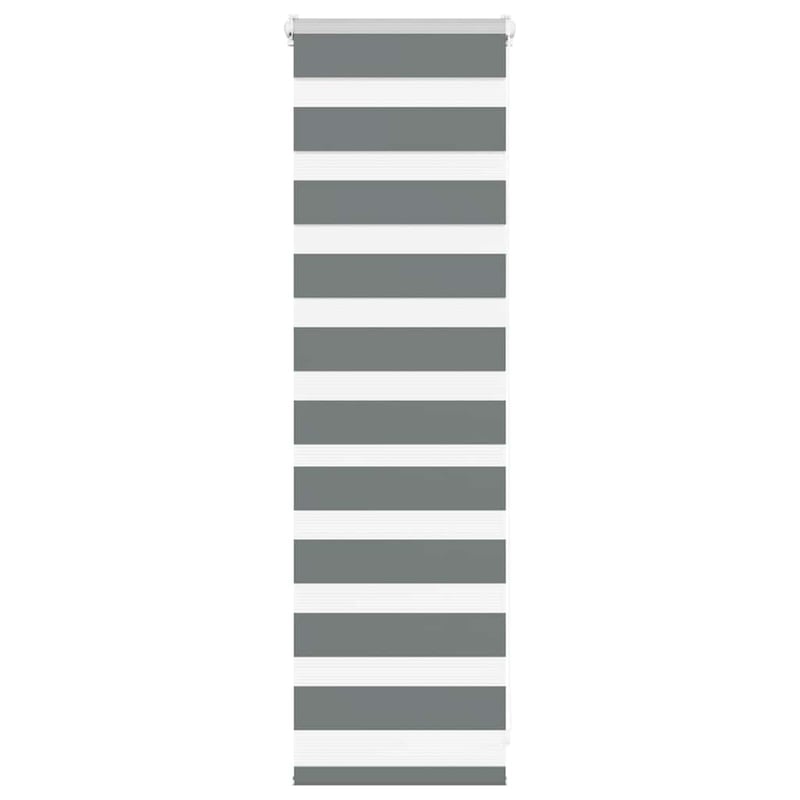 Roleta zebra, ciemnoszara, szerokość tkaniny 45,9 cm, poliester vidaXL