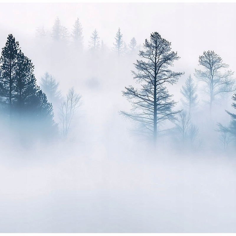 Fototapeta Las we mgle Natura 350x250 cm Tapeta Do Sypialni Salonu Kuchni Na Flizelinie