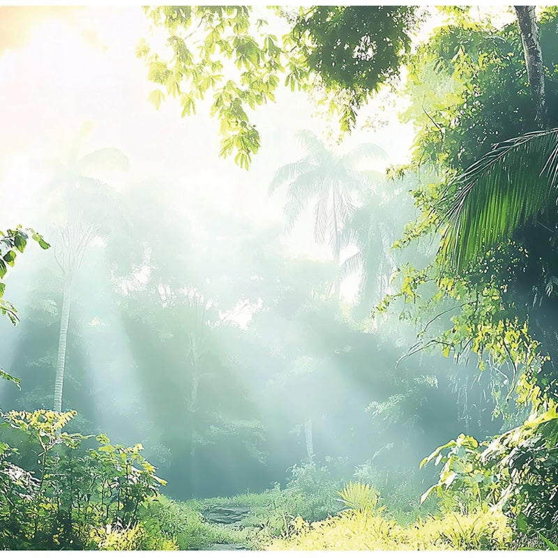 Fototapeta Las Drzewa Słońce 300x210 cm Tapeta Do Sypialni Salonu Kuchni Na Flizelinie