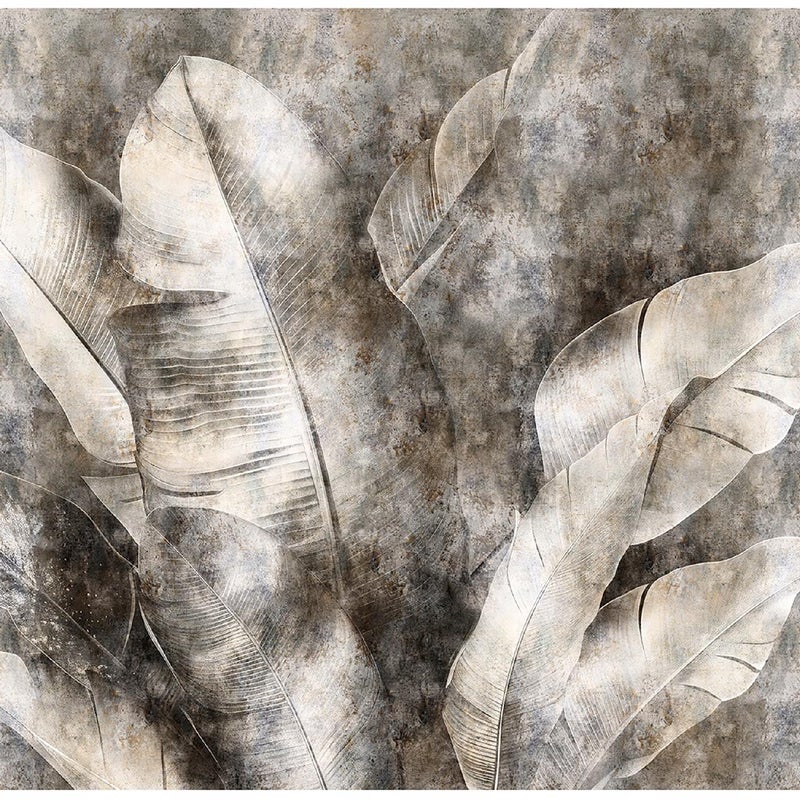 Fototapeta Liście Bananowca Szary Beton Loft 400x280 cm Tapeta Do Sypialni Salonu Kuchni Na Flizelinie