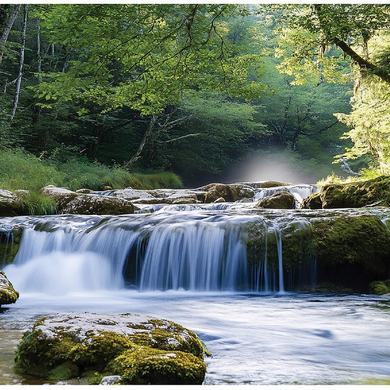 Fototapeta 3D Las Wodospad Krajobraz Natura 350x250 cm Tapeta Do Sypialni Salonu Kuchni Na Flizelinie