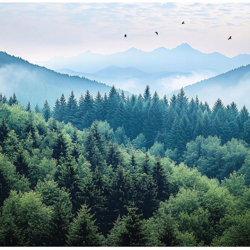 Fototapeta 3D Las Drzewa Krajobraz Natura 400x280 cm Tapeta Do Sypialni Salonu Kuchni Na Flizelinie