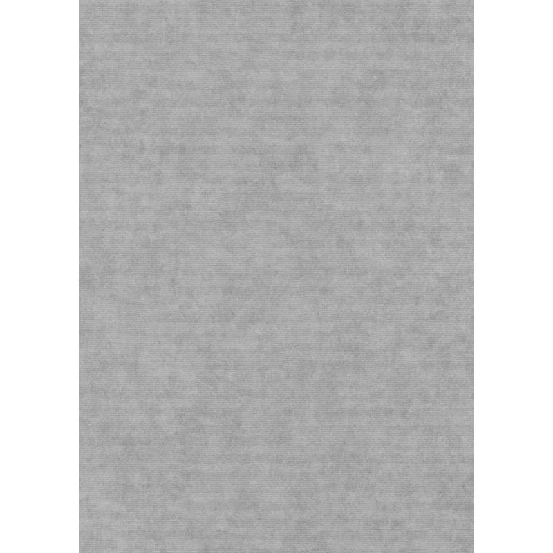 Tapeta zwykły szarym - 53 cm x 10.05 m - ERISMANN