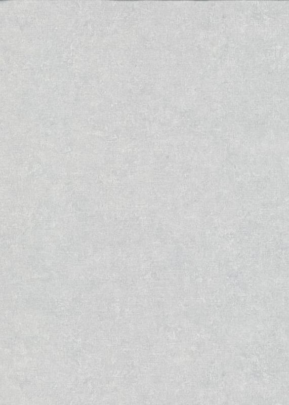 Tapeta zwykły szarym - 53 cm x 10.05 m - ERISMANN