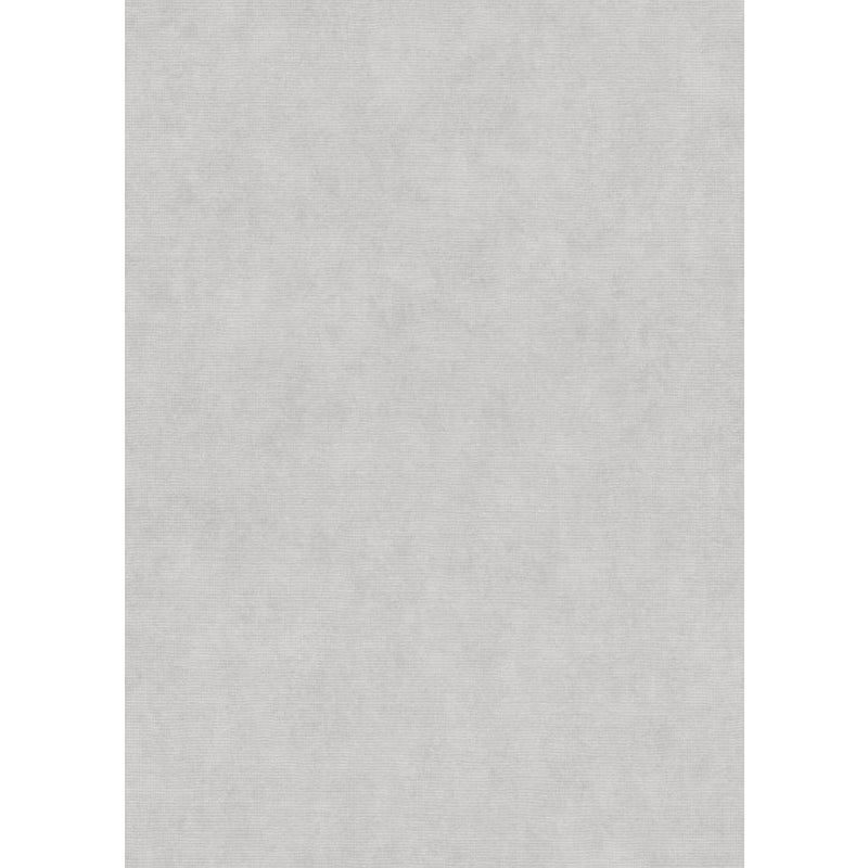 Tapeta zwykły jasnoszarym - 53 cm x 10.05 m - ERISMANN