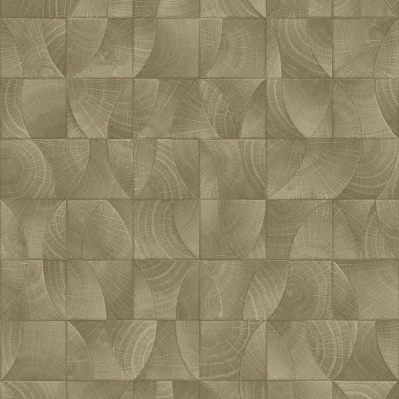 Tapeta motyw drewna ciepłej szarości - 53 cm x 10.05 m - ZAMBAITI