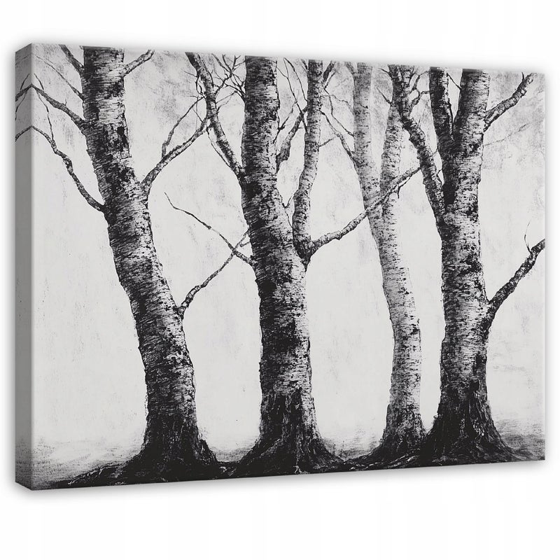 Obraz na płótnie ścianę Drzewa Brzozy Natura 60x40 cm Dekoracja Ścienna do Sypialni Salonu