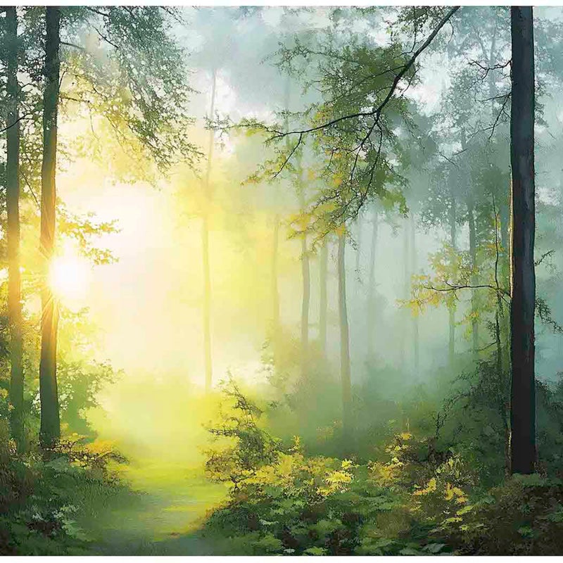 Fototapeta Las Słoneczny Drzewa Natura 300x210 cm Tapeta Do Sypialni Salonu Kuchni Na Flizelinie