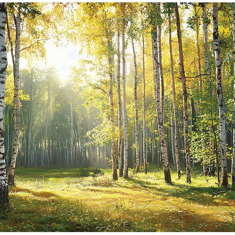 Fototapeta Las Słoneczny Drzewa Natura 400x280 cm Tapeta Do Sypialni Salonu Kuchni Na Flizelinie