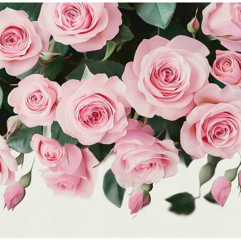 Fototapeta Kwiaty Róże Wiszące 350x250 cm Tapeta Do Sypialni Salonu Kuchni Na Flizelinie