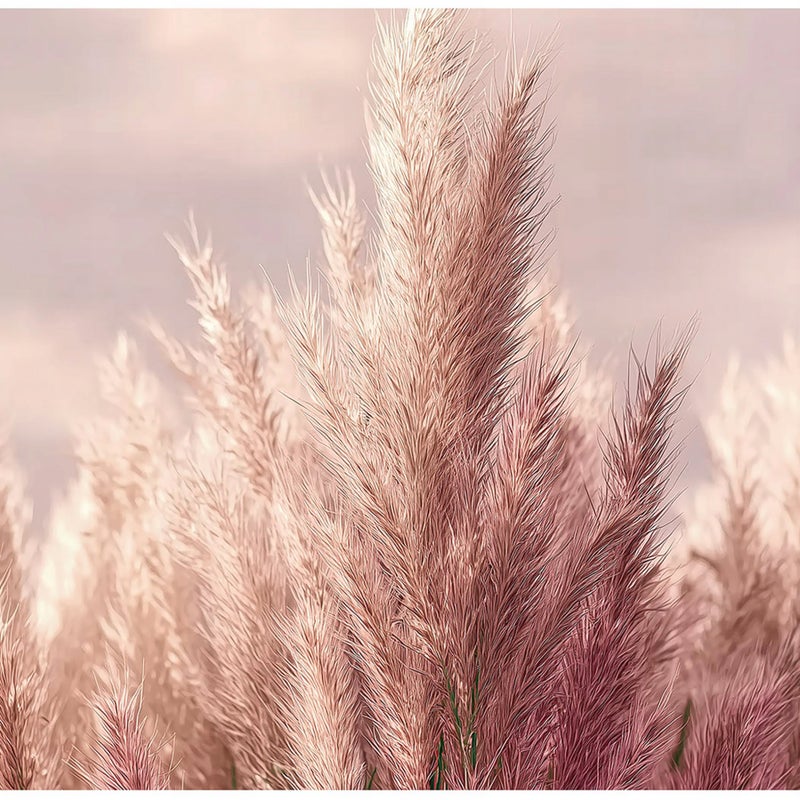 FOTOTAPETA PSZENICA RÓŻOWY NATURA 3D NA ŚCIANĘ SYPIALNIA SALON 300x210