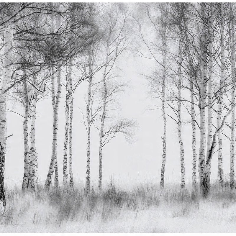 FOTOTAPETA LAS 3D CZARNO BIAŁY DRZEWA NA ŚCIANĘ SYPIALNIA SALON 400x280