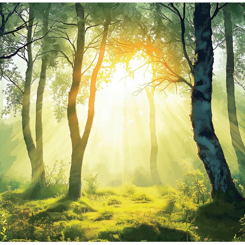 FOTOTAPETA LAS 3D DRZEWA NATURA SŁOŃCE NA ŚCIANĘ SYPIALNIA SALON 300x210