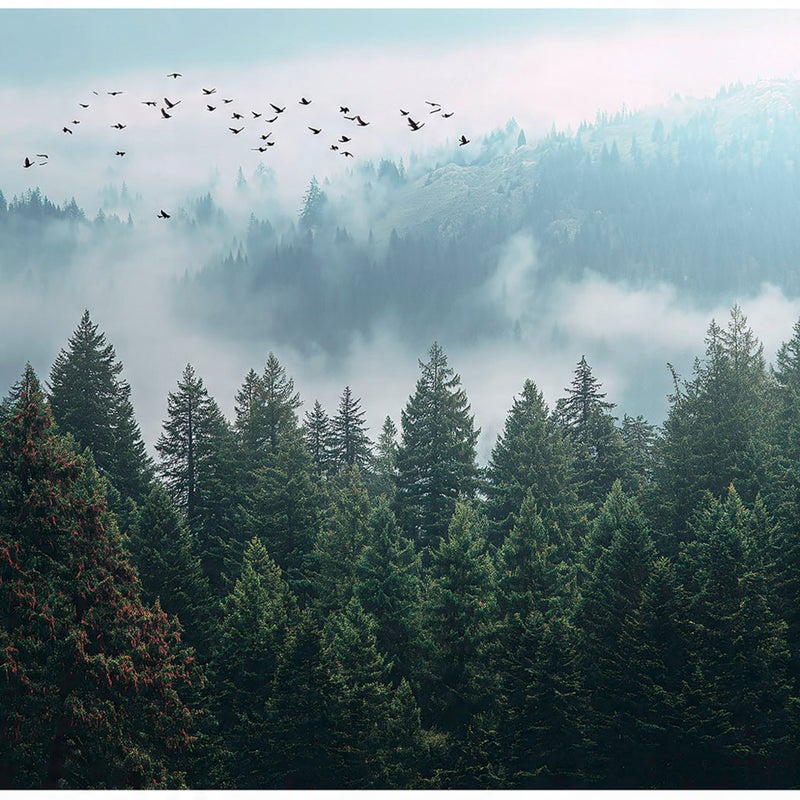 FOTOTAPETA LAS WE MGLE 3D DRZEWA NATURA NA ŚCIANĘ SYPIALNIA SALON 300x210