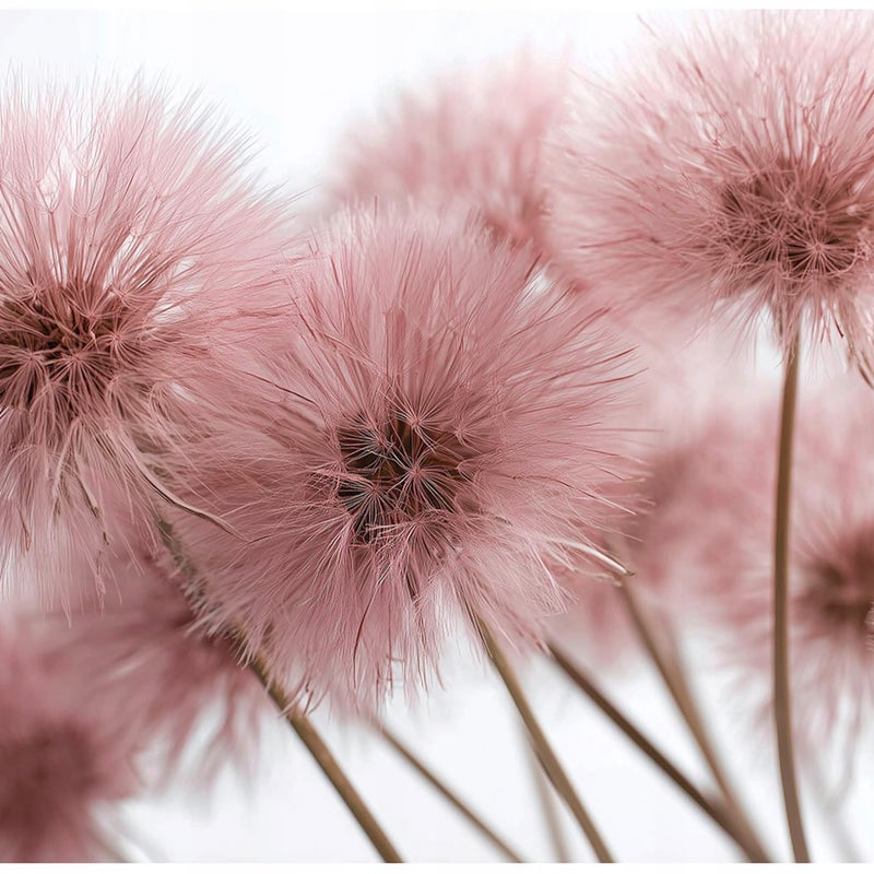 FOTOTAPETA DMUCHAWCE RÓŻOWY NATURA 3D NA ŚCIANĘ SYPIALNIA SALON 400x280