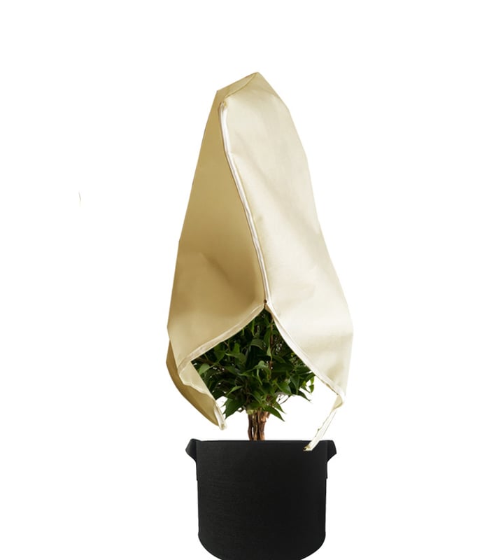 Osłona ochronna na rośliny zimowe, osłona włókninowa do ochrony roślin przed mrozem (200 x 240 cm)