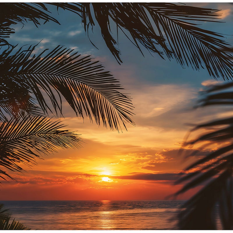 Fototapeta Palmy Plaża Zachód Słońca Natura 250x175 cm Tapeta Do Sypialni Salonu Kuchni Na Flizelinie