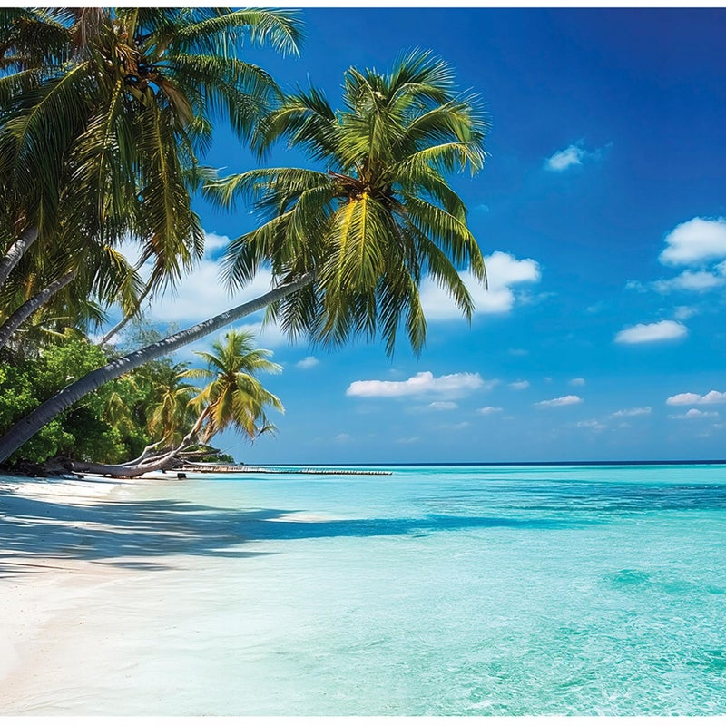 Fototapeta Plaża Palmy Krajobraz Tropikalny 350x250 cm Tapeta Do Sypialni Salonu Kuchni Na Flizelinie