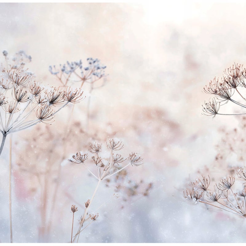 Fototapeta Kwiaty Boho Pastelowy 300x210 cm Tapeta Do Sypialni Salonu Kuchni Na Flizelinie