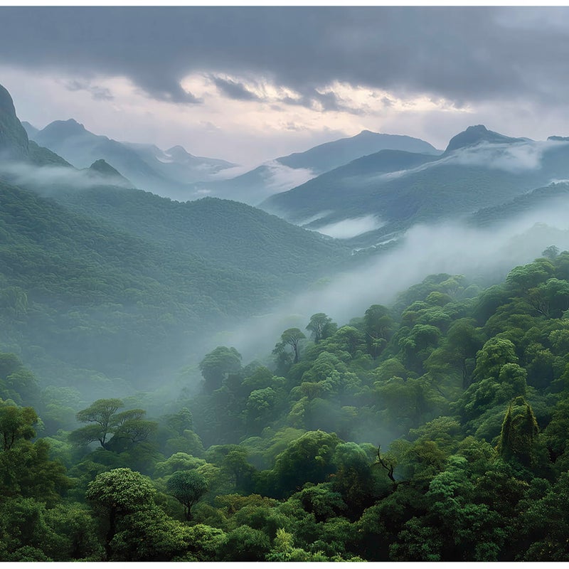 Fototapeta Las we Mgle Góry Natura Krajobraz 300x210 cm Tapeta Do Sypialni Salonu Kuchni Na Flizelinie