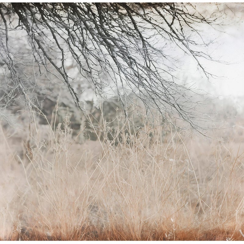 Fototapeta Abstrakcja Gałązki Drzewa 400x280 cm Tapeta Do Sypialni Salonu Kuchni Na Flizelinie