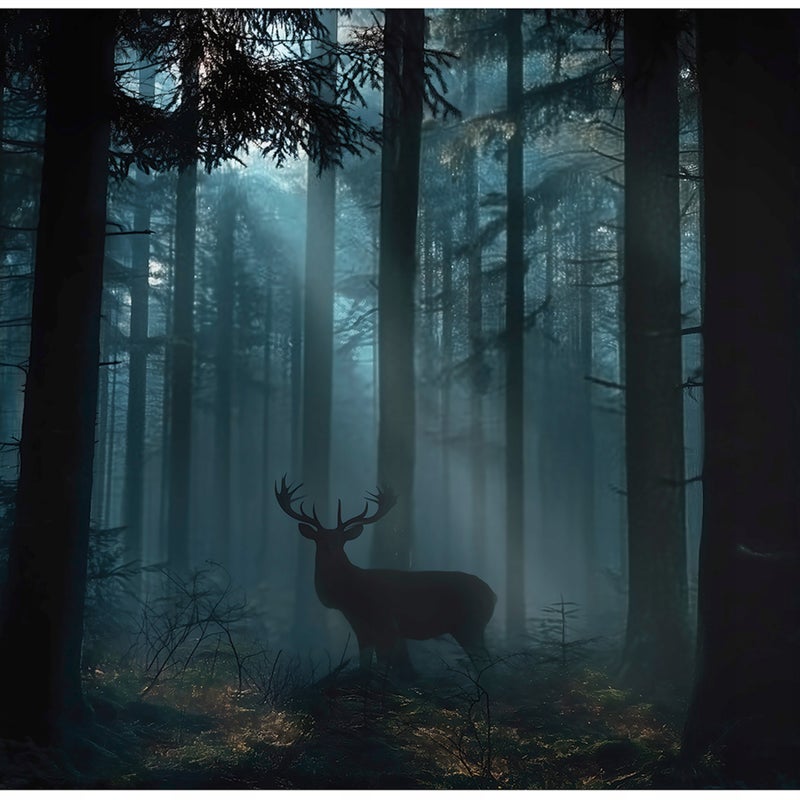 Fototapeta Jeleń Las Zwierzęta Natura 400x280 cm Tapeta Do Sypialni Salonu Kuchni Na Flizelinie