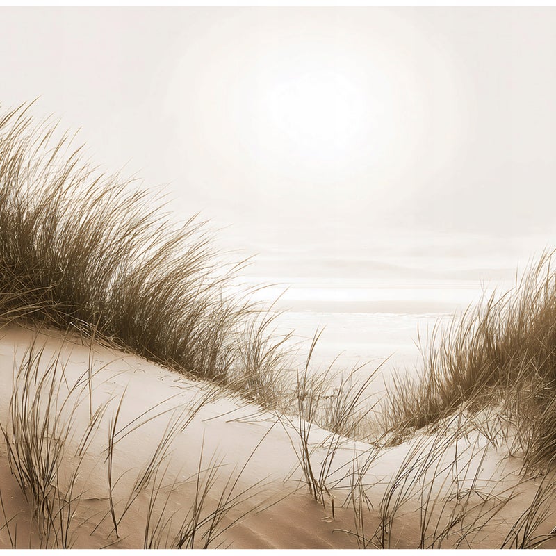 Fototapeta Plaża Trawa Natura Wydmy Beżowy 350x250 cm Tapeta Do Sypialni Salonu Kuchni Na Flizelinie