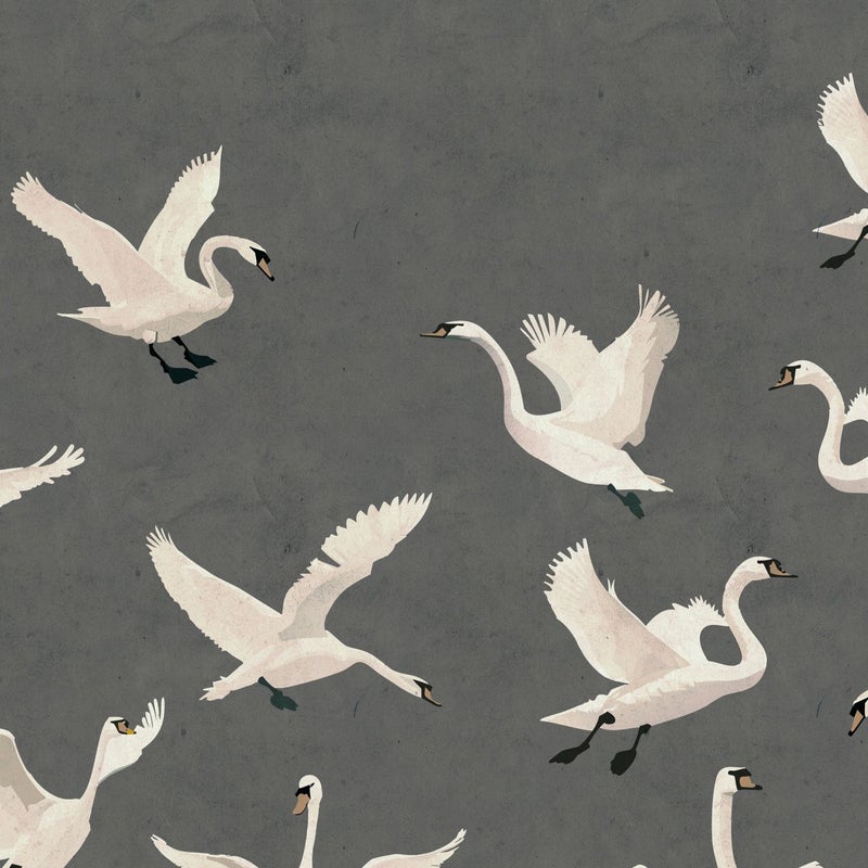 Fototapeta łabędzie szarym - 3 x 2.79 m - ESTAHOME