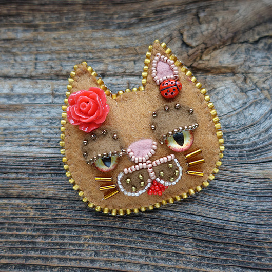 Kocia broszka - kot rudzielec