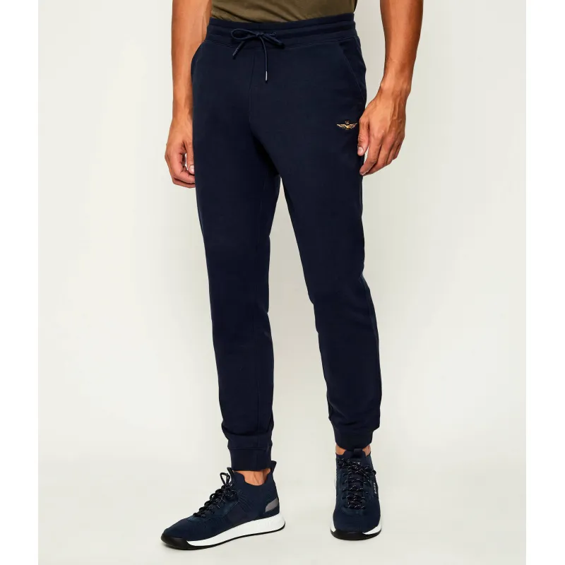 Aeronautica Militare Spodnie dresowe | Regular Fit