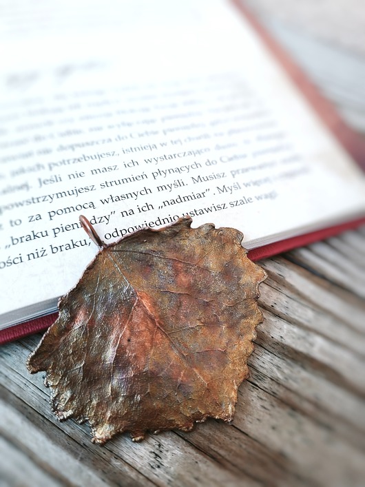 Liść topoli II wisior miedziany