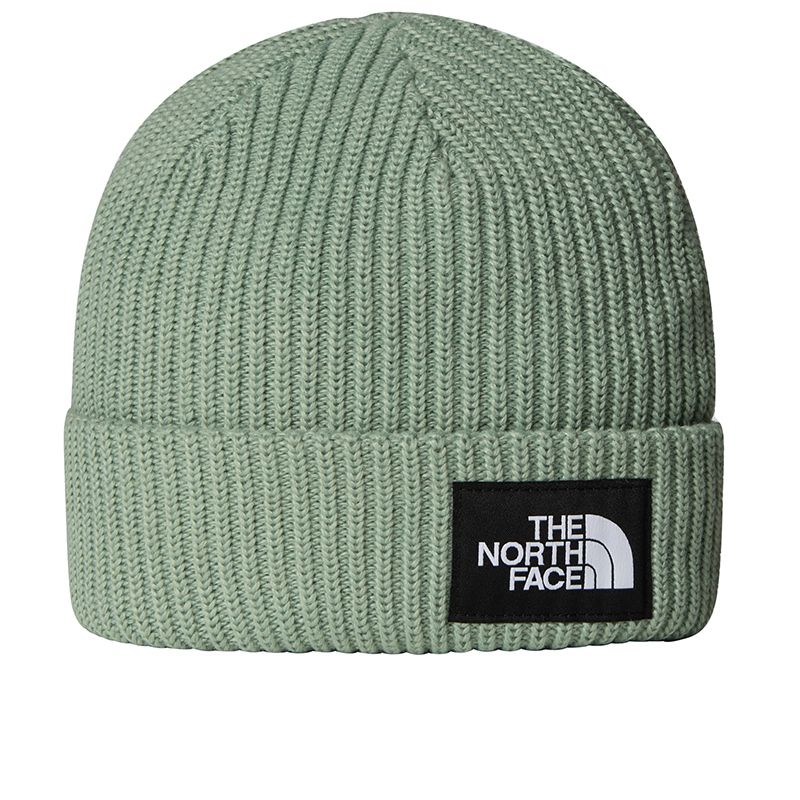 Czapka dziecięca The North Face Beanie Salty 0A8CGSBQ11 - zielona