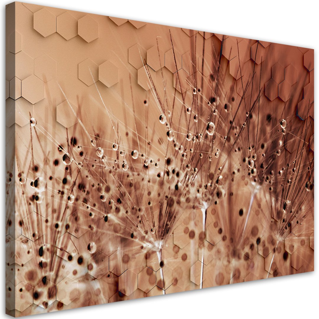 Obraz na płótnie, Dmuchawce w kroplach rosy - 120x80