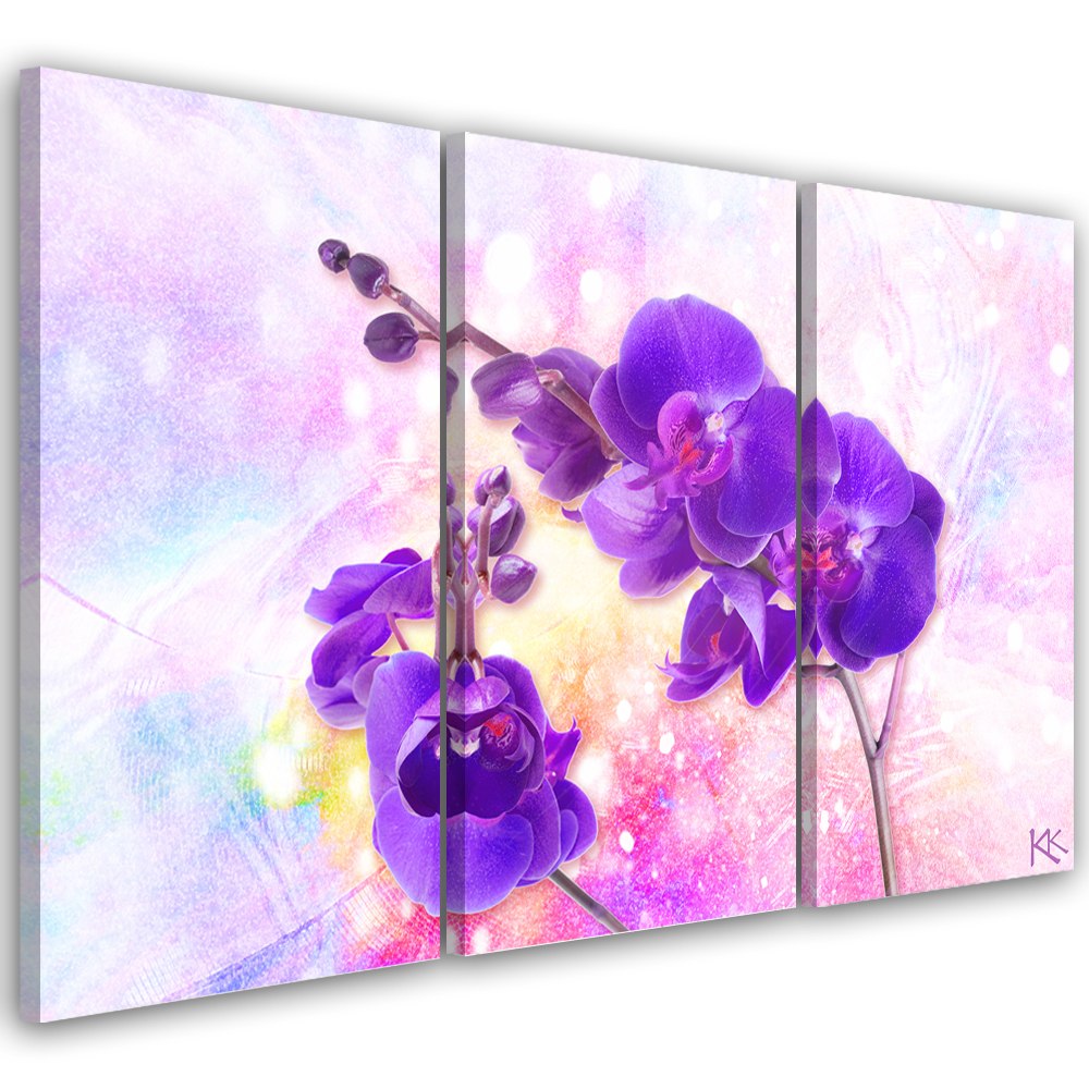 Obraz trzyczęściowy na płótnie, Fioletowy kwiat orchidei - 60x40
