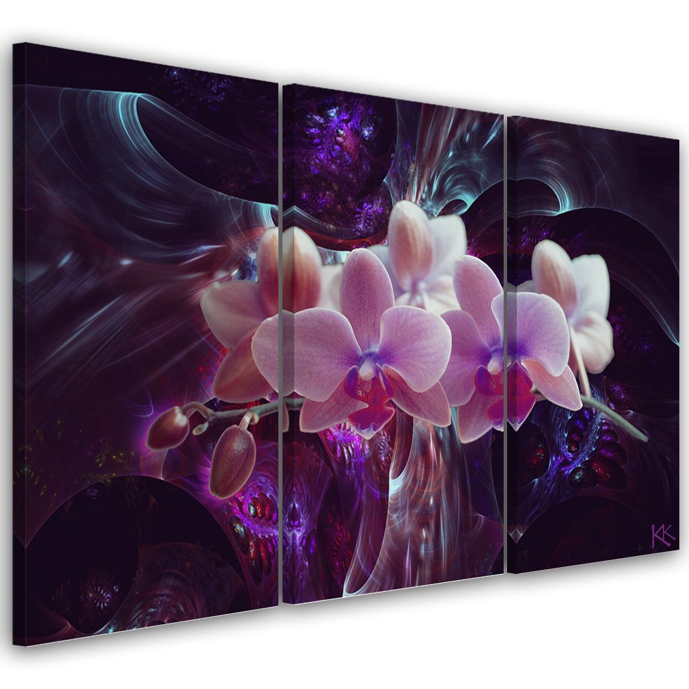 Obraz trzyczęściowy na płótnie, Biała orchidea na ciemnym tle - 150x100