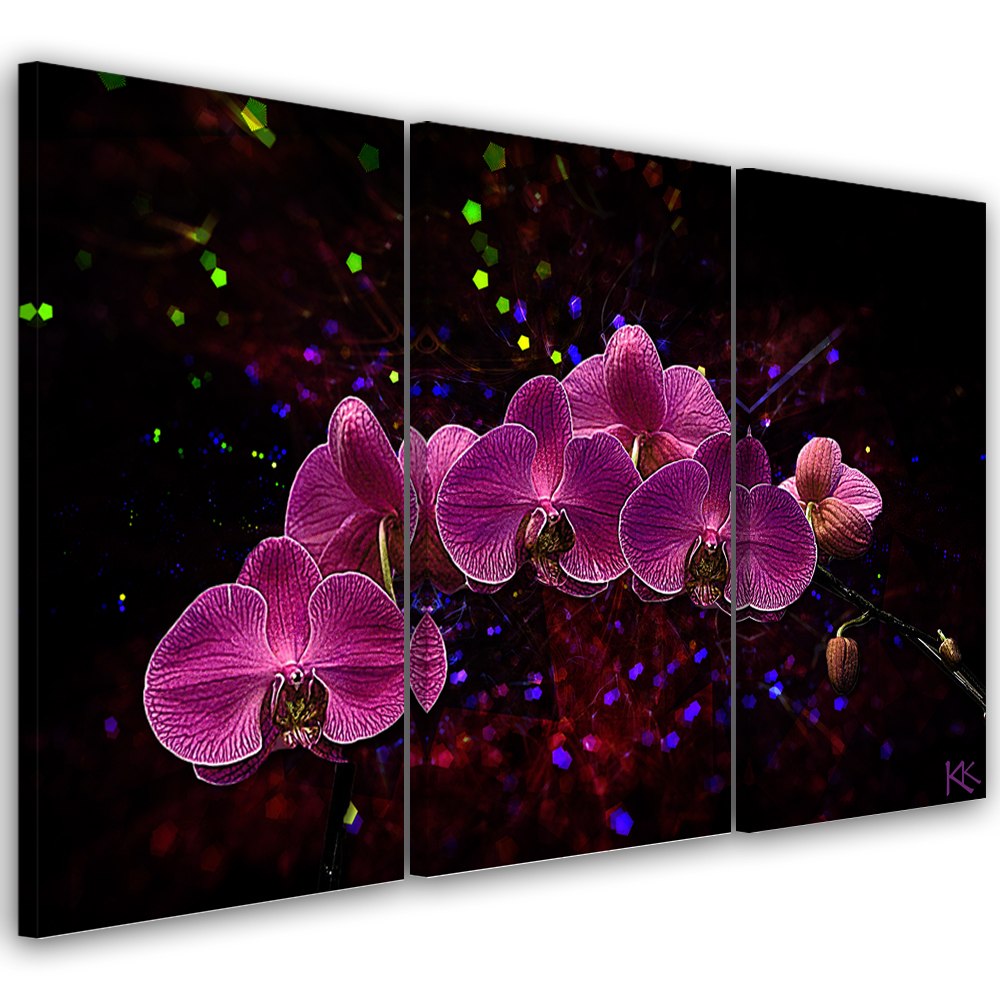 Obraz trzyczęściowy na płótnie, Orchidea na ciemnym tle - 90x60