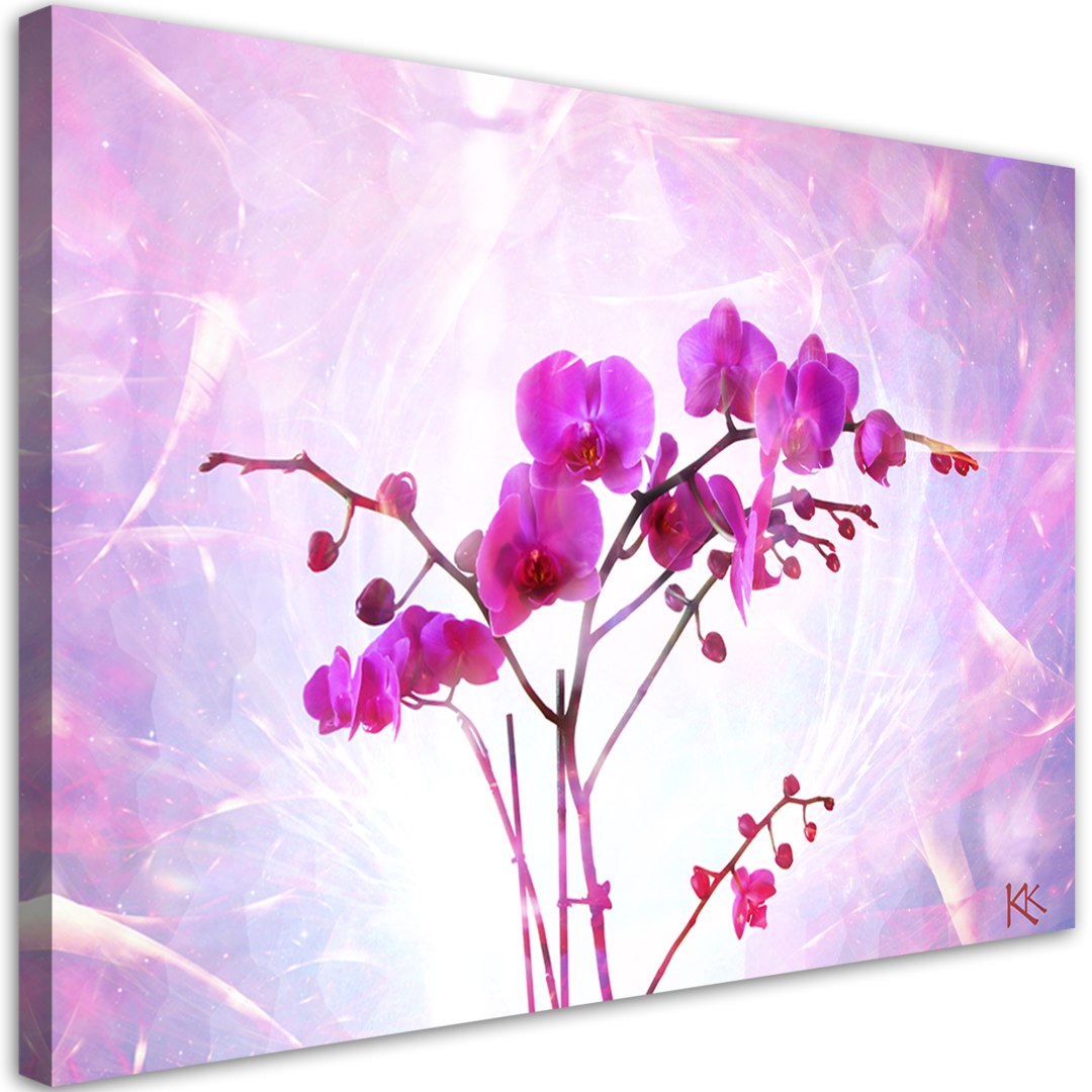 Obraz na płótnie, Eteryczna orchidea - 90x60