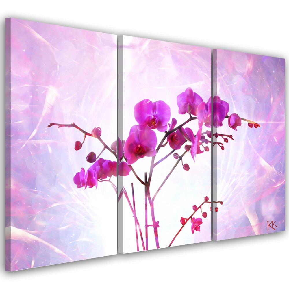 Obraz tryptyk na płótnie, Eteryczna orchidea - 90x60