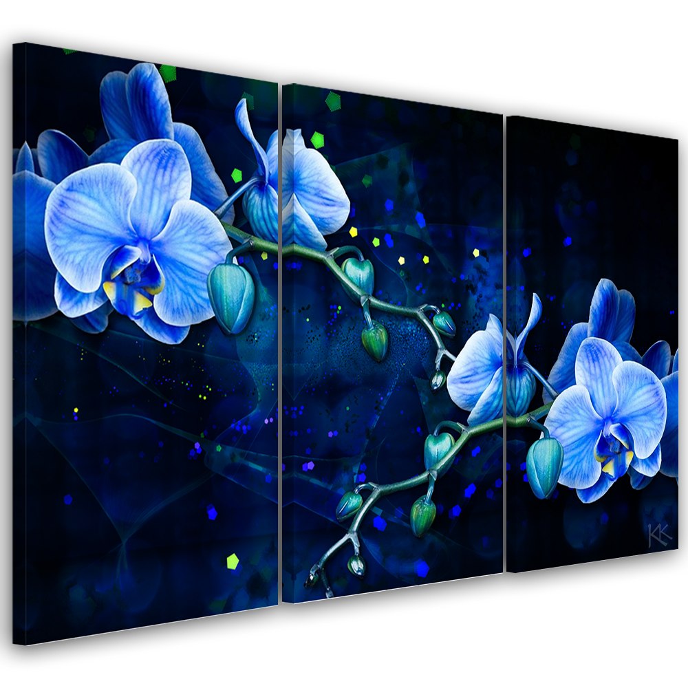 Obraz trzyczęściowy na płótnie, Niebieski kwiat orchidei - 120x80