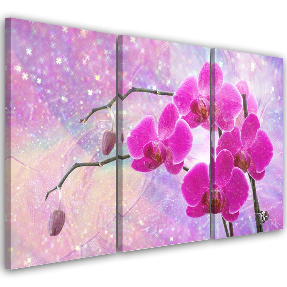 Obraz trzyczęściowy na płótnie, Eteryczna orchidea abstrakcja - 150x100
