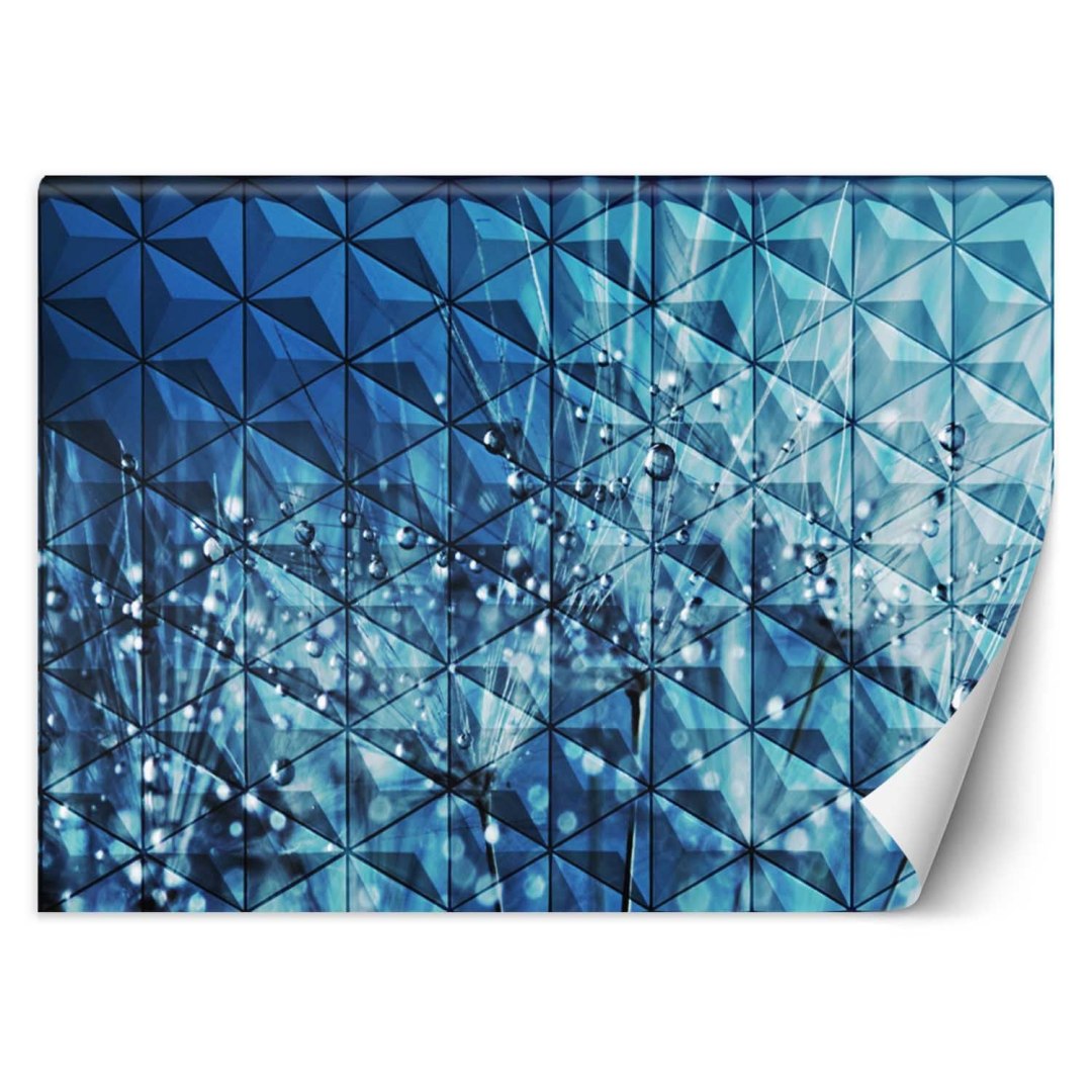 Fototapeta, Krople rosy na dmuchawcu - 200x140