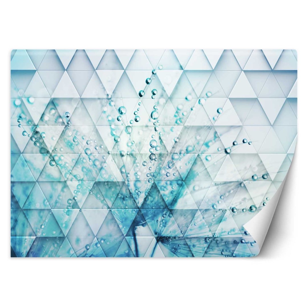 Fototapeta, Turkusowy dmuchawiec w kroplach rosy - 150x105