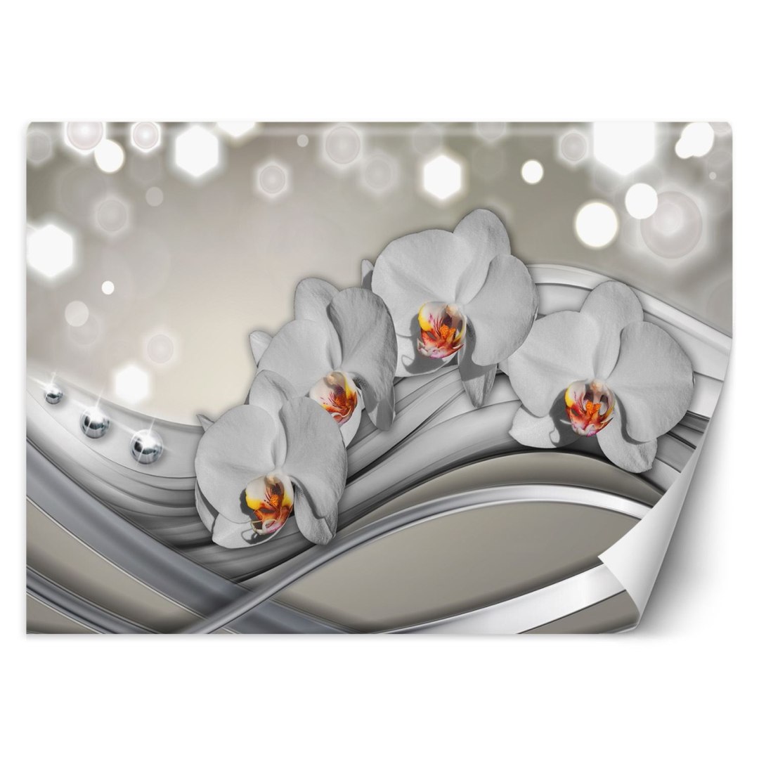 Fototapeta, Orchidea abstrakcja - 300x210