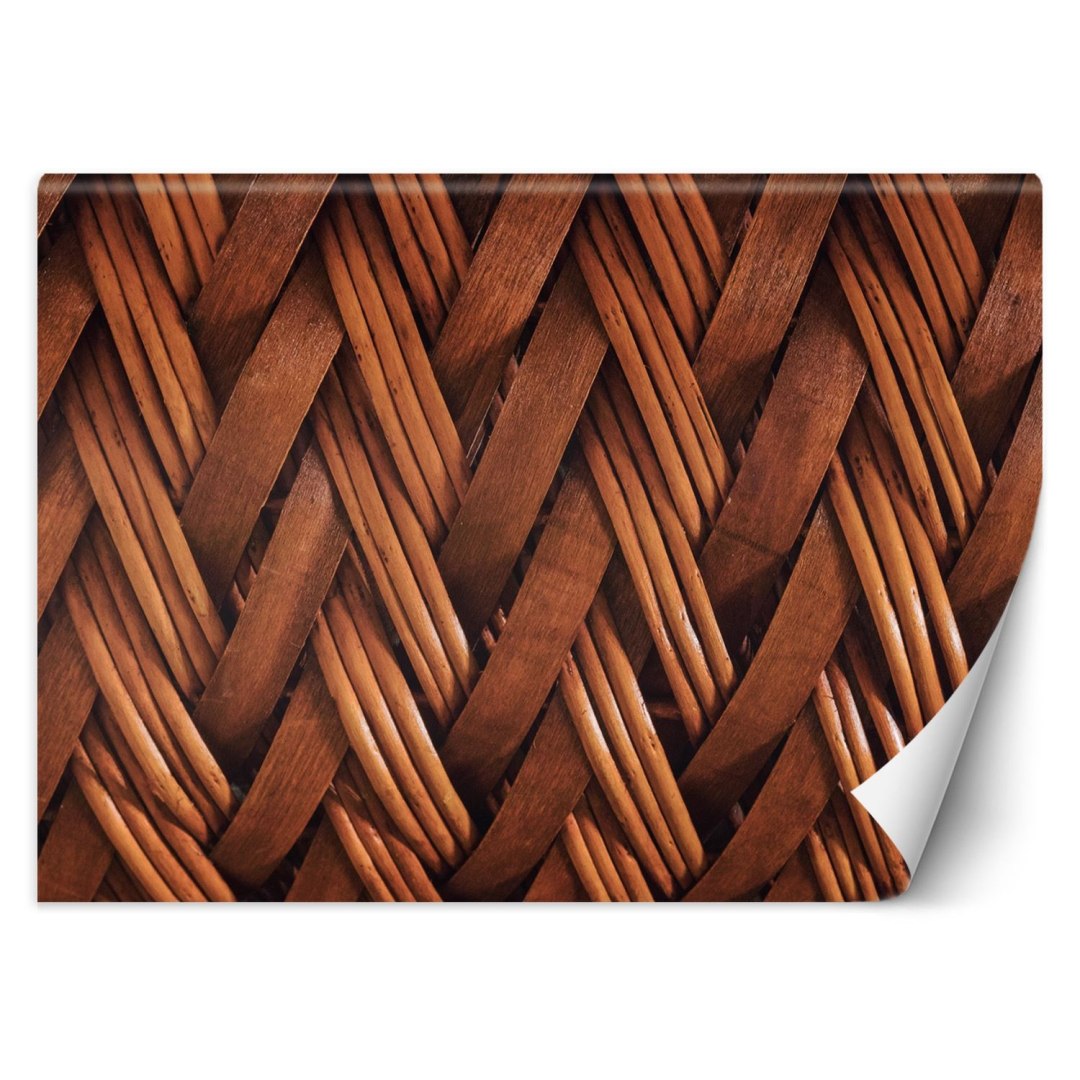 Fototapeta, Splot wikliny 3D - 400x280