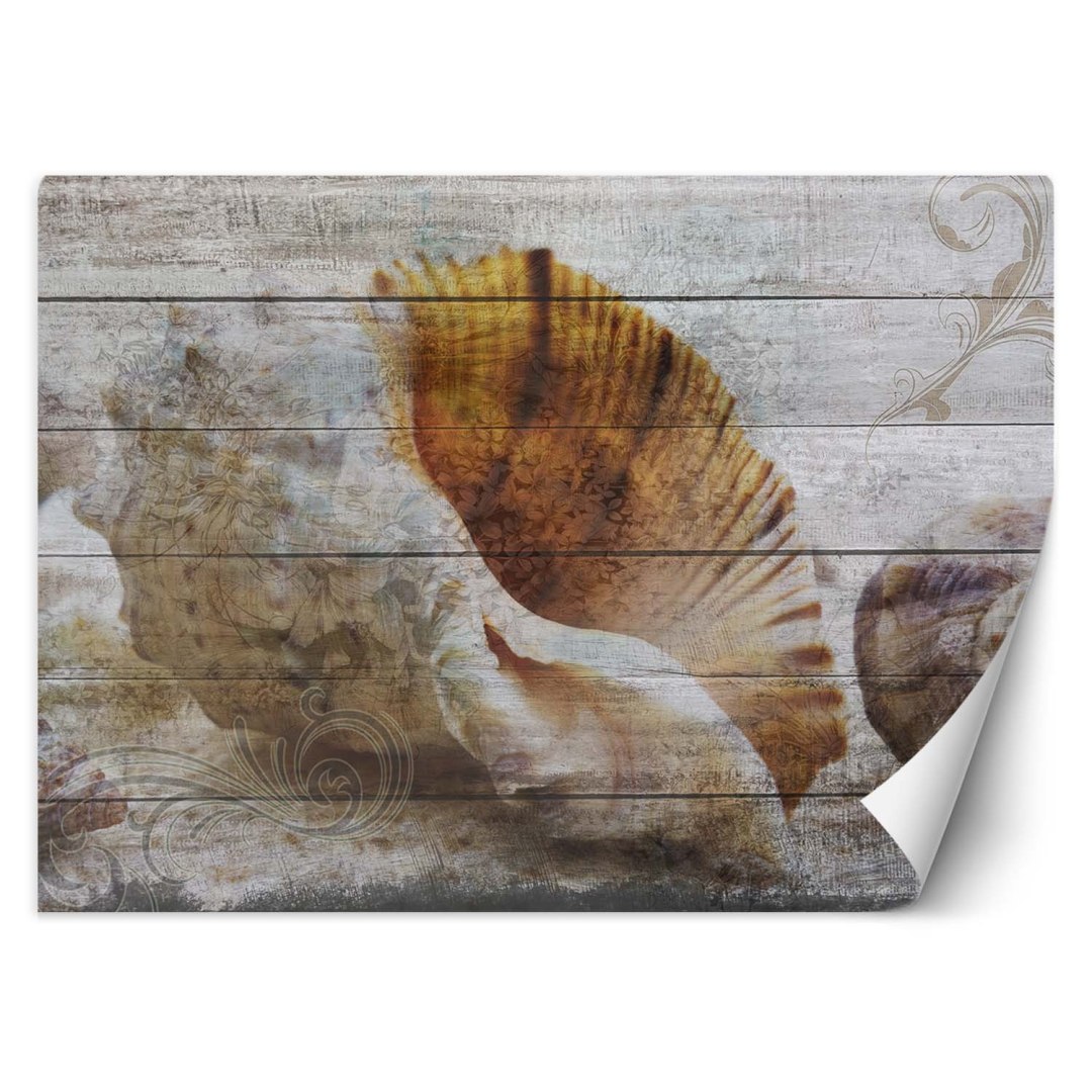 Fototapeta, Muszle w stylu vintage - 100x70