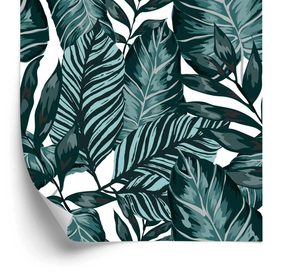 Tapeta Liście Palmy, Marakui I Monstery