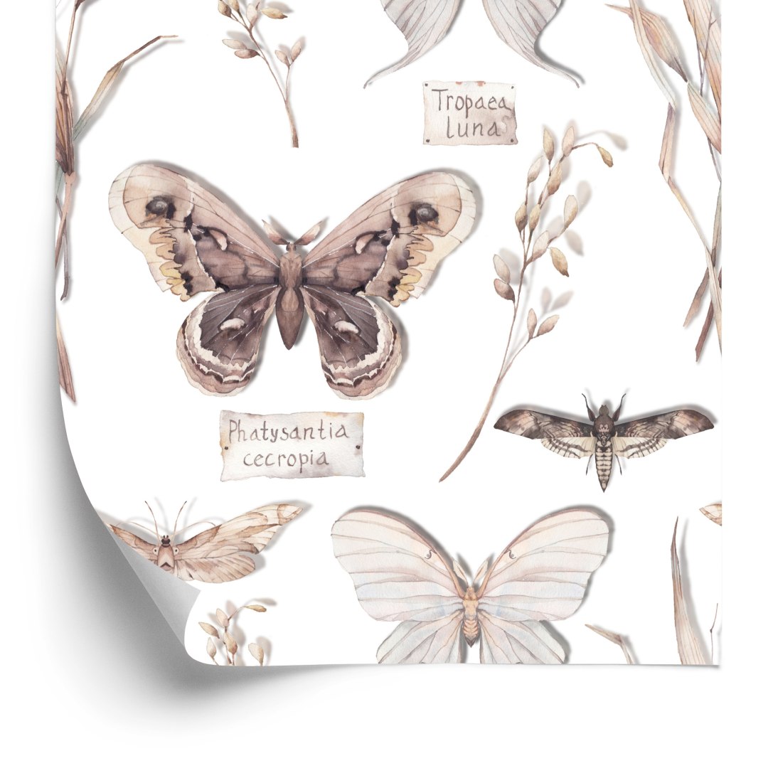 Tapeta Do Kuchni, Motyle, Kwiaty, Rośliny, Natura