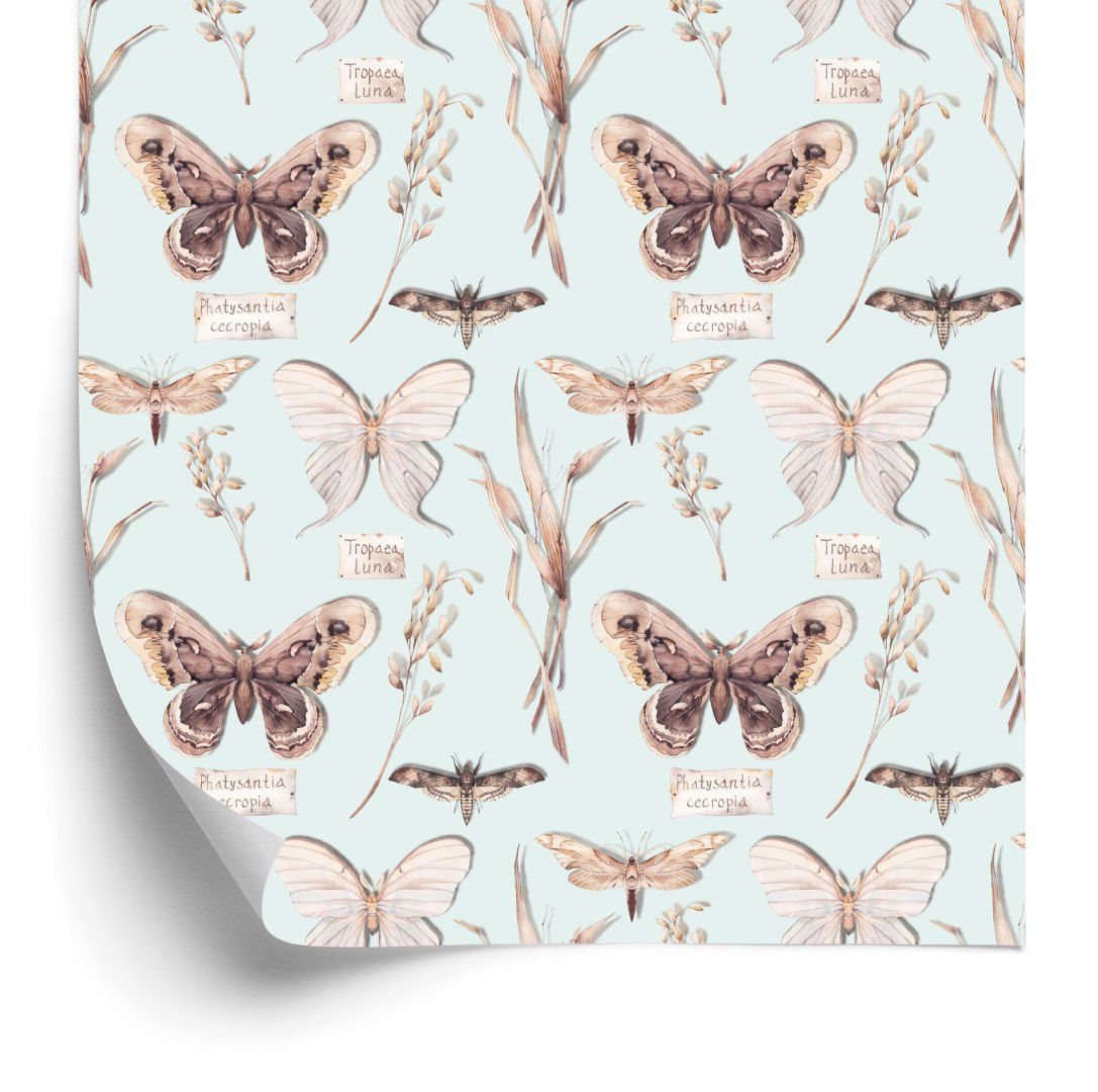 Tapeta Do Jadalni Motyle, Kwiaty, Rośliny, Natura