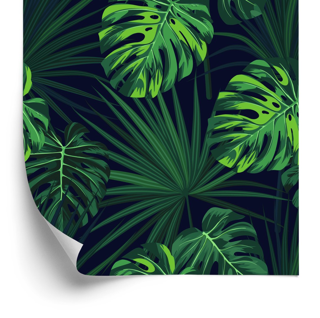 Tapeta Tropikalne Liście Monstery Na Ciemnym Tle